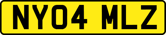 NY04MLZ