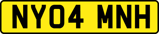 NY04MNH
