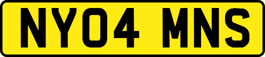 NY04MNS
