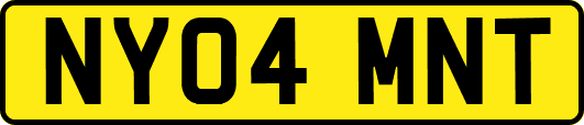 NY04MNT