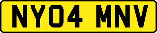 NY04MNV