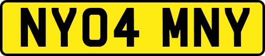 NY04MNY