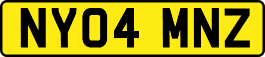 NY04MNZ