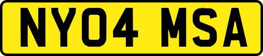 NY04MSA
