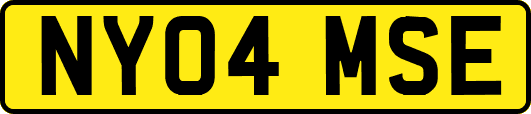 NY04MSE