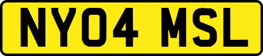NY04MSL