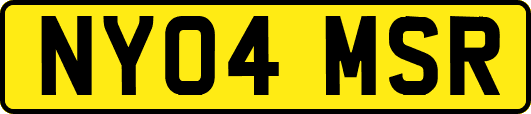 NY04MSR