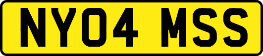 NY04MSS