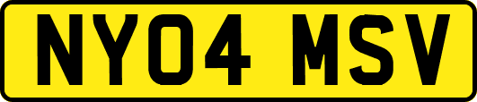 NY04MSV