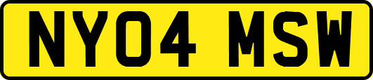 NY04MSW