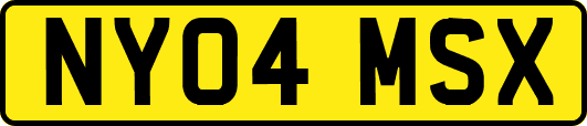 NY04MSX