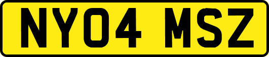 NY04MSZ