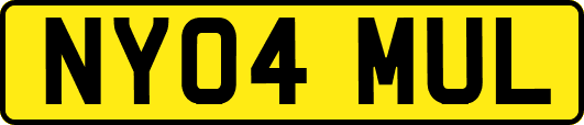 NY04MUL