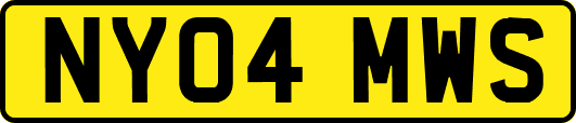NY04MWS