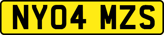 NY04MZS