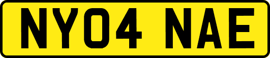 NY04NAE