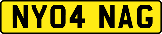 NY04NAG