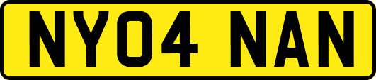NY04NAN