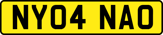 NY04NAO
