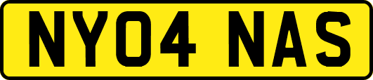 NY04NAS