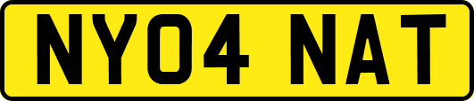 NY04NAT