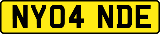 NY04NDE