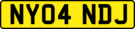 NY04NDJ