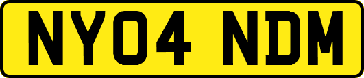 NY04NDM