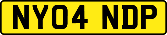 NY04NDP