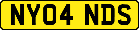 NY04NDS
