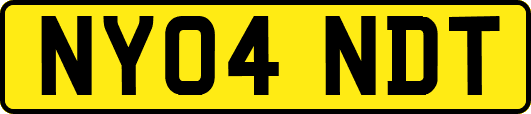 NY04NDT