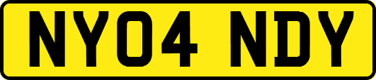 NY04NDY