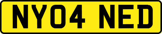 NY04NED