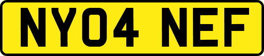 NY04NEF