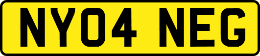 NY04NEG