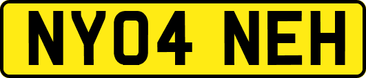 NY04NEH