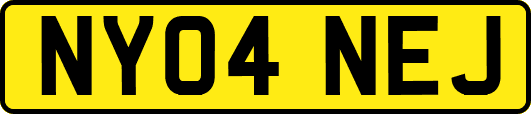 NY04NEJ