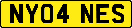 NY04NES