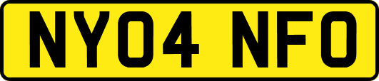 NY04NFO
