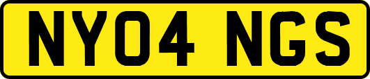NY04NGS