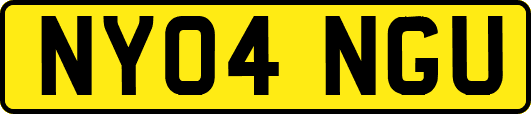 NY04NGU