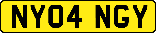 NY04NGY
