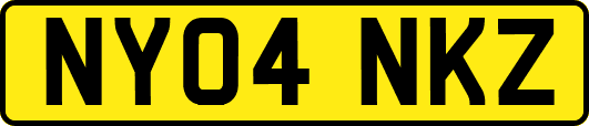 NY04NKZ