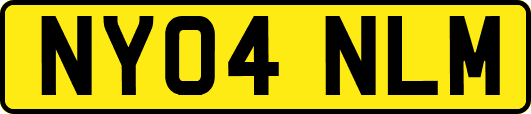 NY04NLM