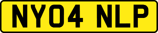 NY04NLP