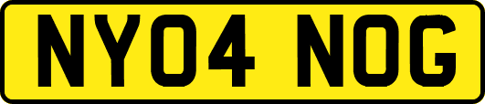 NY04NOG