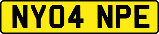 NY04NPE