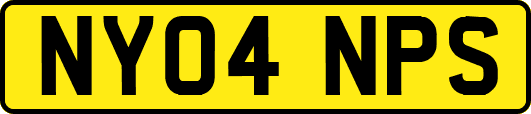 NY04NPS