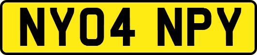 NY04NPY