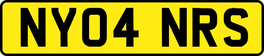 NY04NRS
